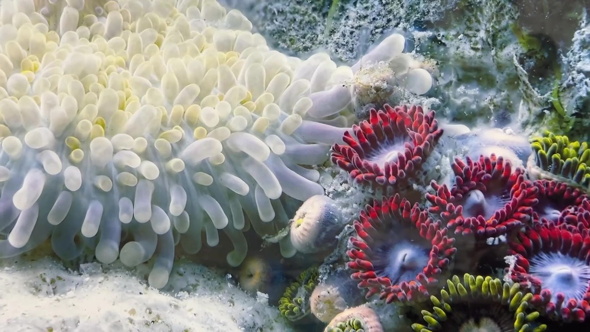 Реутов, музей, выставка, микрофото,