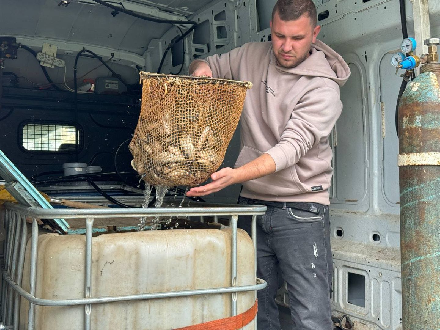 рыбхоз, рыба, пруд, городской округ Восход,