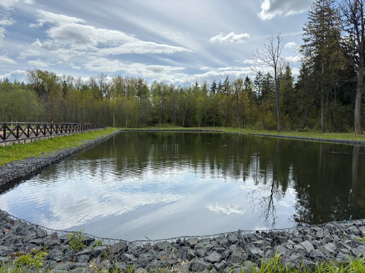 рыбхоз, рыба, пруд, городской округ Восход,