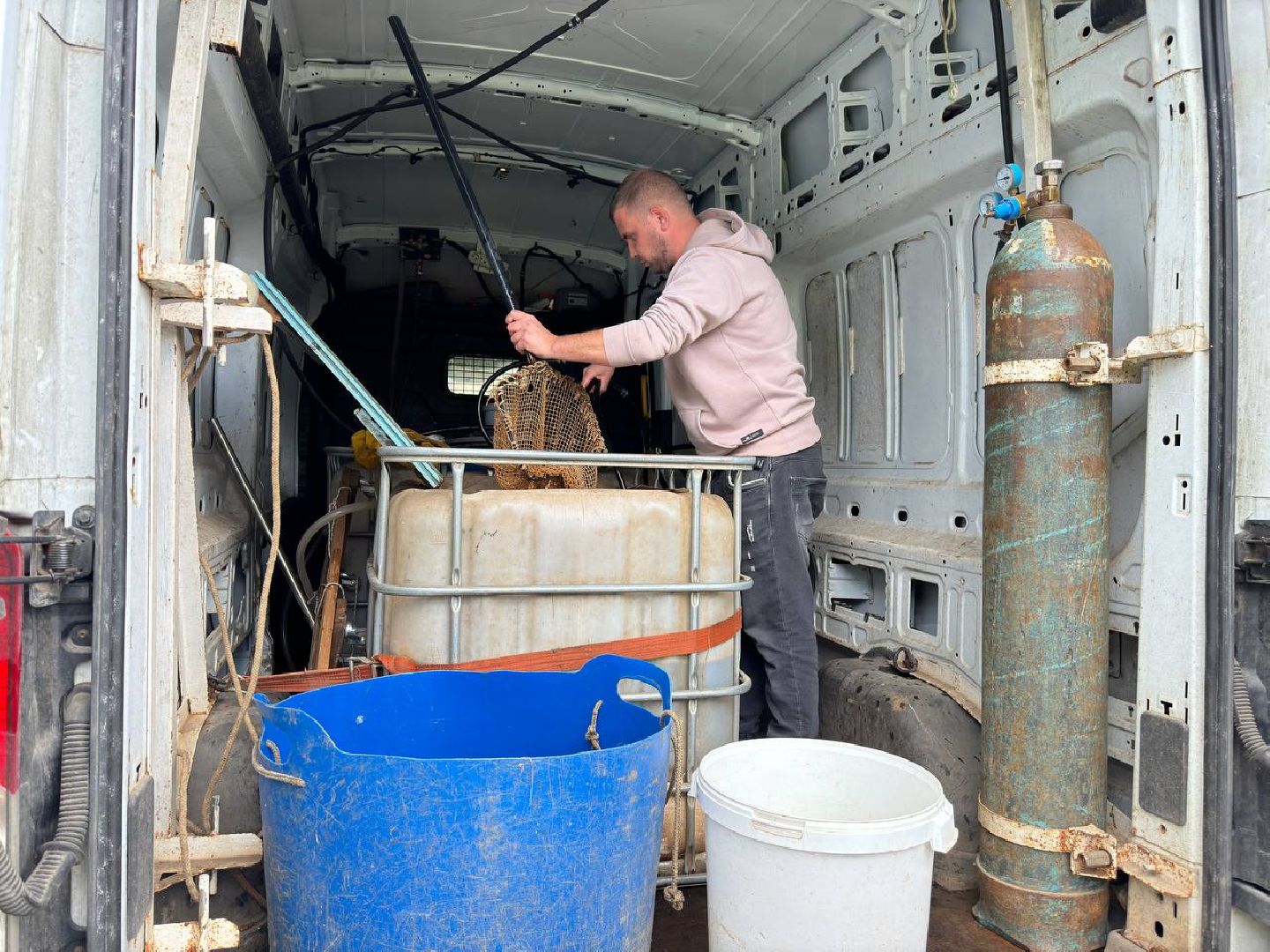 рыбхоз, рыба, пруд, городской округ Восход,