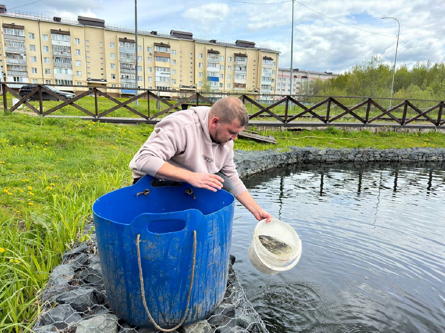 рыбхоз, рыба, пруд, городской округ Восход,