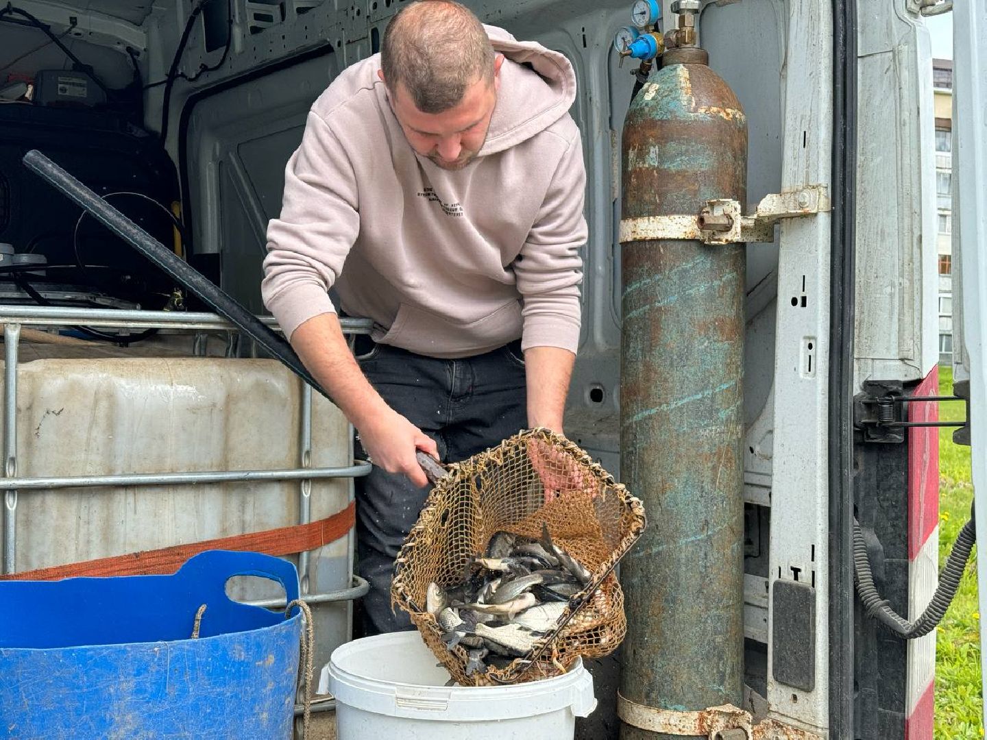 рыбхоз, рыба, пруд, городской округ Восход,