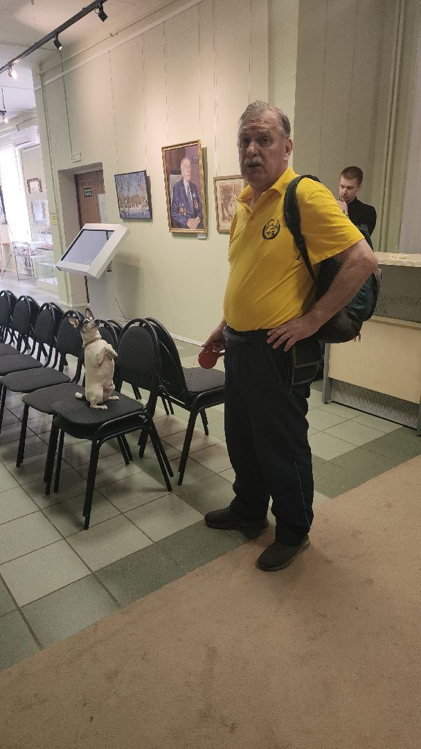 долгопрудный, Долгопрудненский музей, кинологи, интерактив, фронтовая собака,