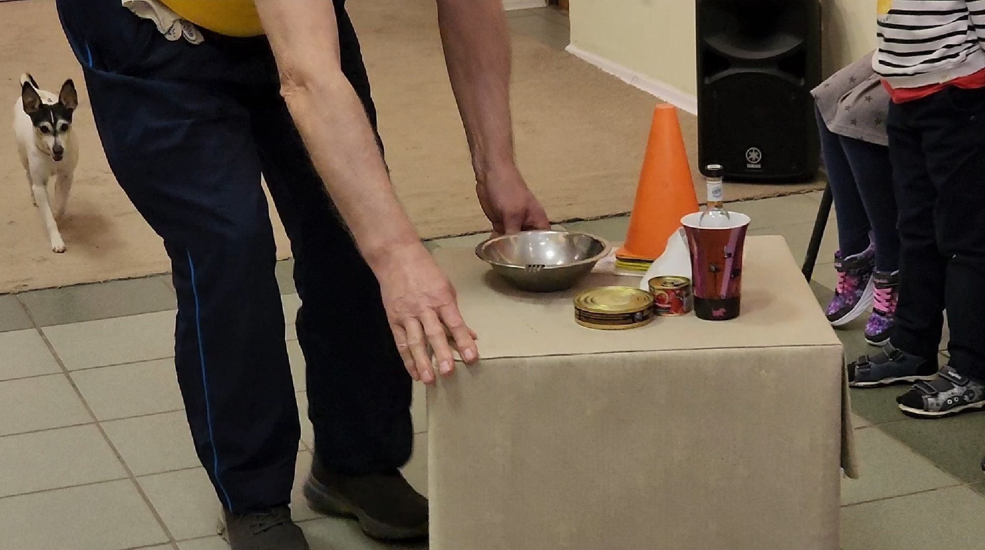 долгопрудный, Долгопрудненский музей, кинологи, интерактив, фронтовая собака,