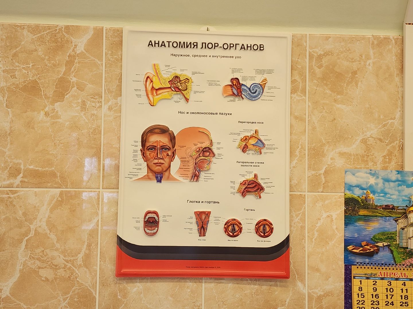 оборудование, поликлиника,