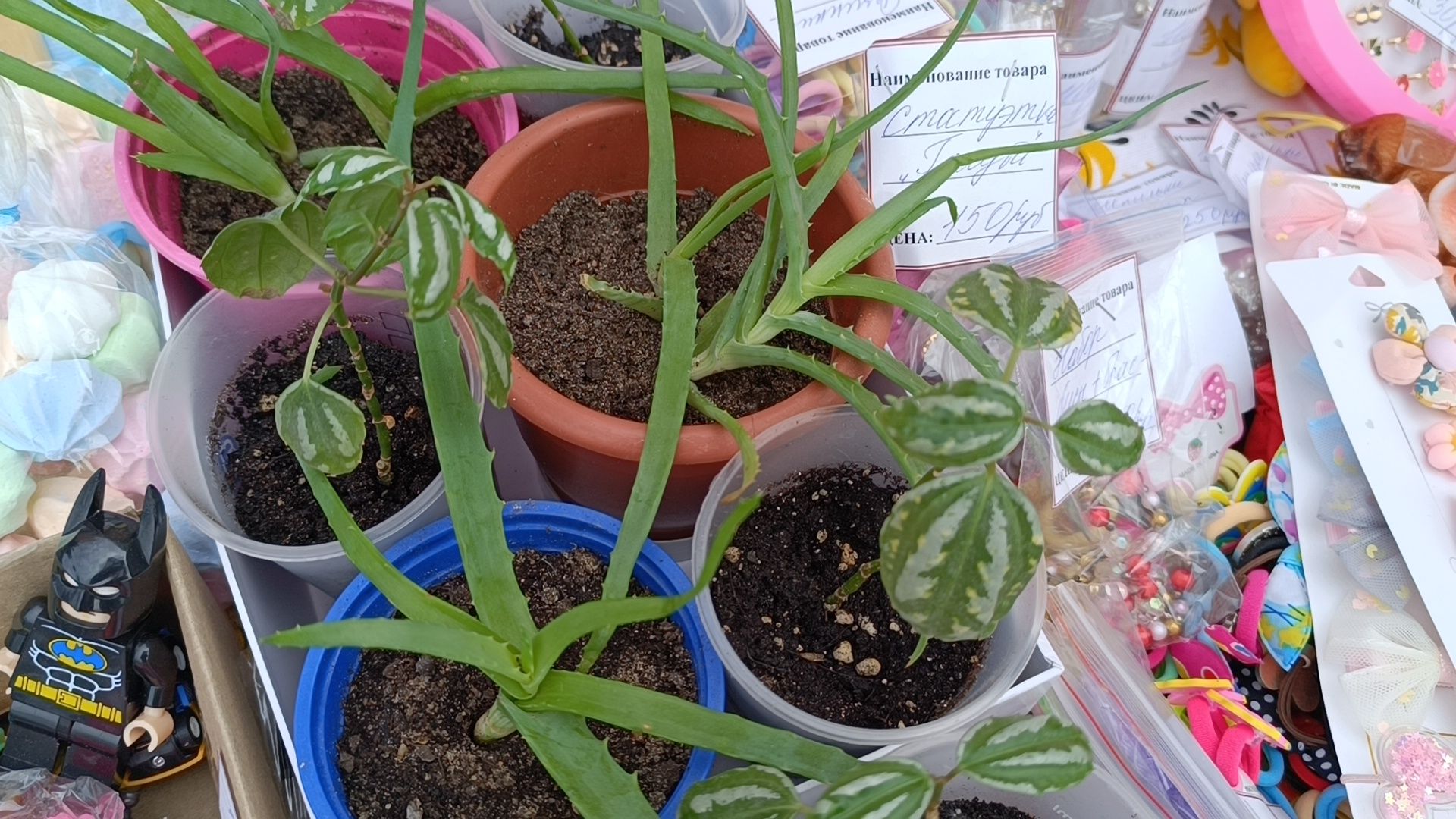 школа, благотворительная ярмарка, лобня,