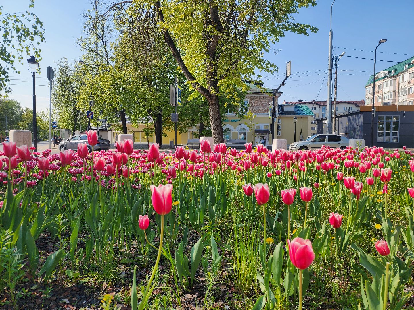 Звенигород, Благоустройство, озеленение,
