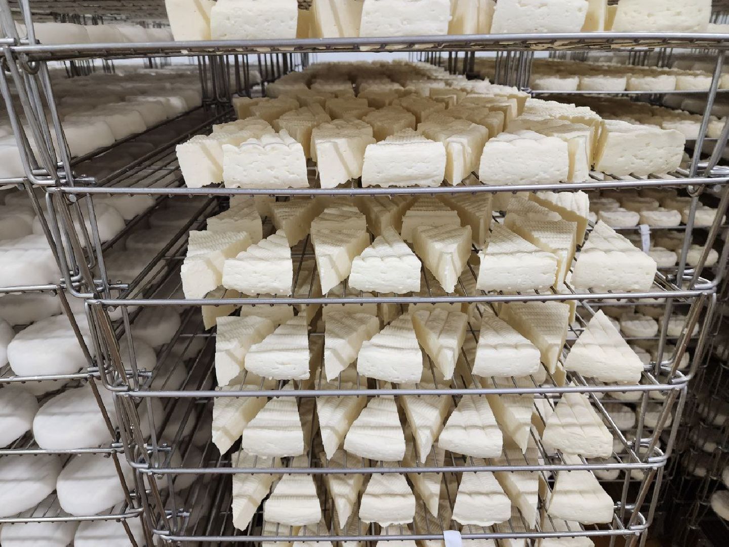 чехов, экономика, сыроварня, импортозамещение, производство,