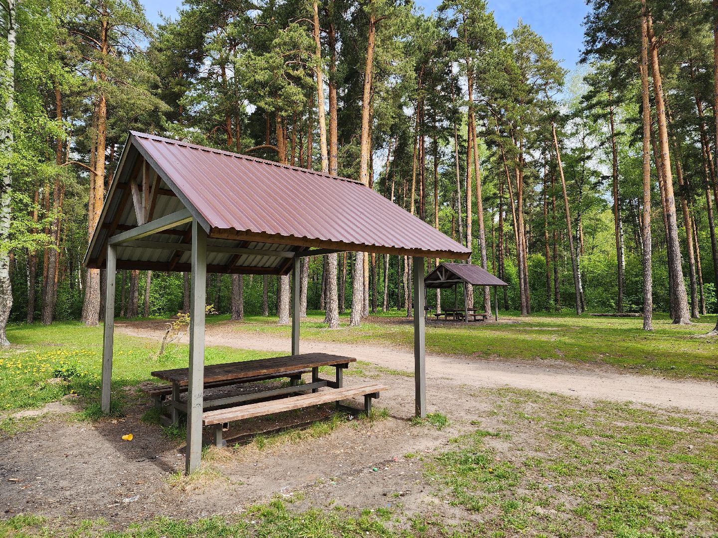 воскресенск, шашлык у озера, пожарная безопасность, лесничество,