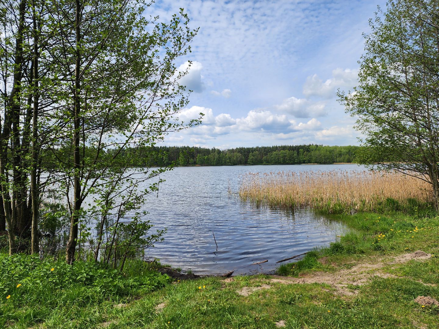воскресенск, шашлык у озера, пожарная безопасность, лесничество,