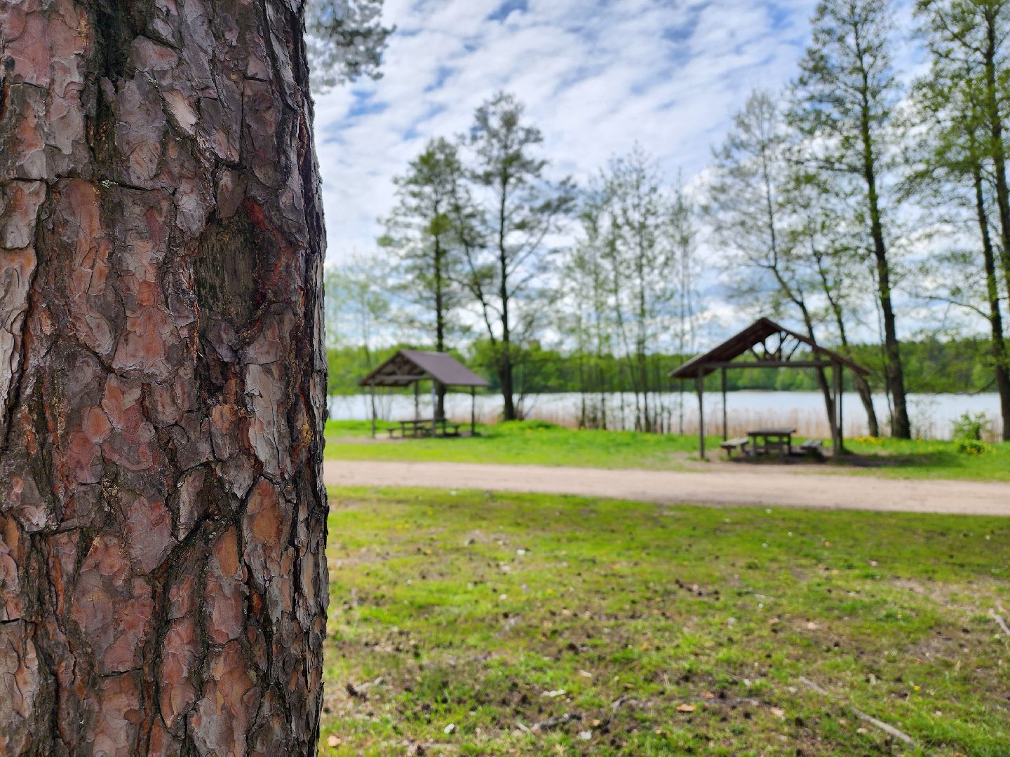 воскресенск, шашлык у озера, пожарная безопасность, лесничество,