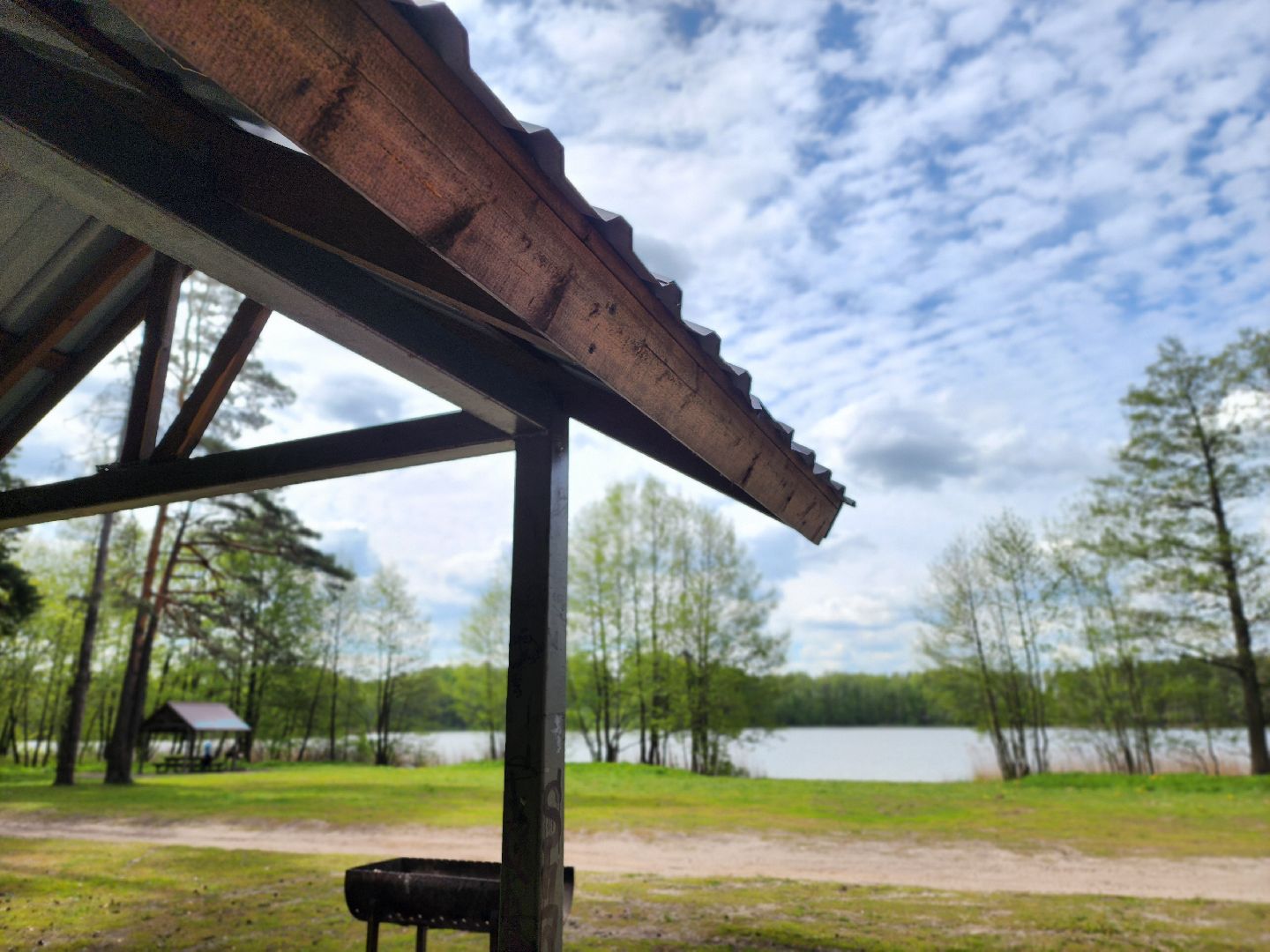 воскресенск, шашлык у озера, пожарная безопасность, лесничество,