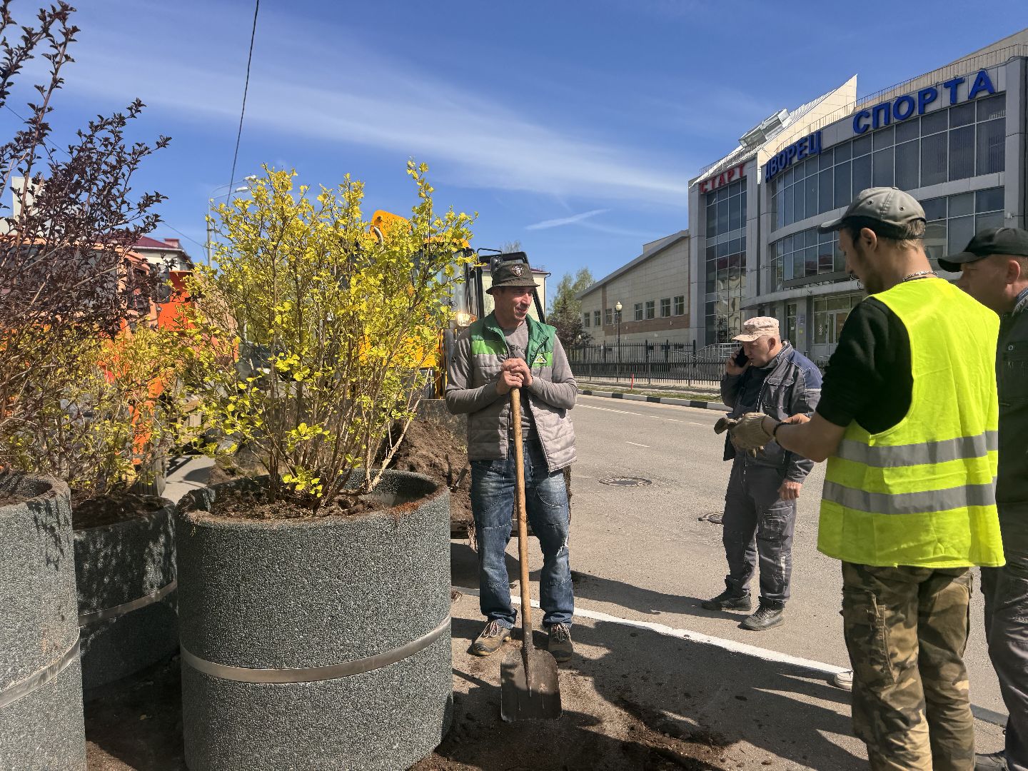 шаховская, посадка деревьев, благоуйстройство,