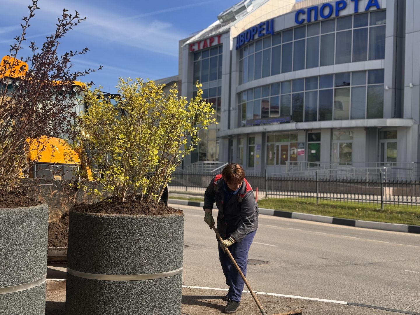 шаховская, посадка деревьев, благоуйстройство,