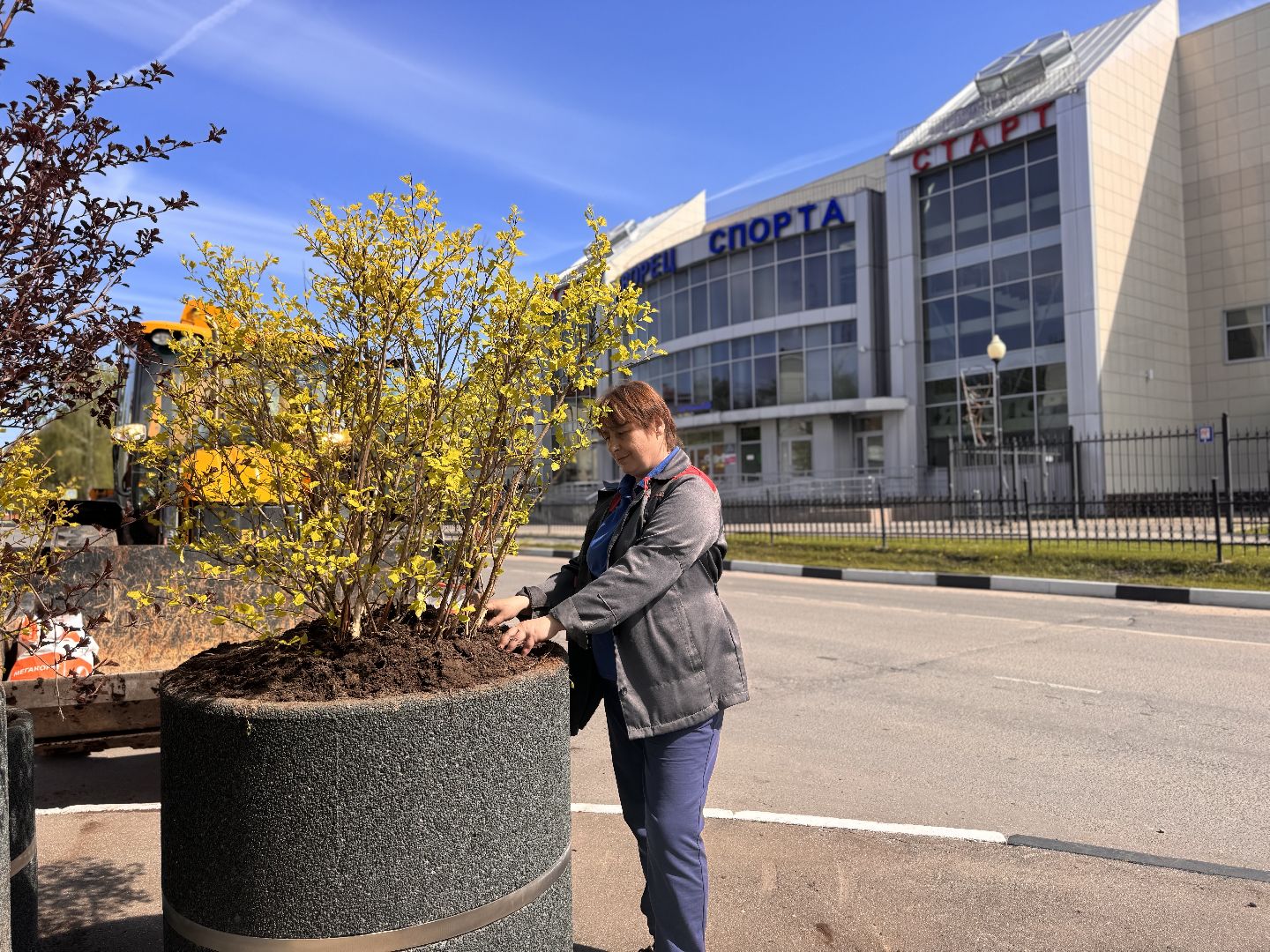 шаховская, посадка деревьев, благоуйстройство,