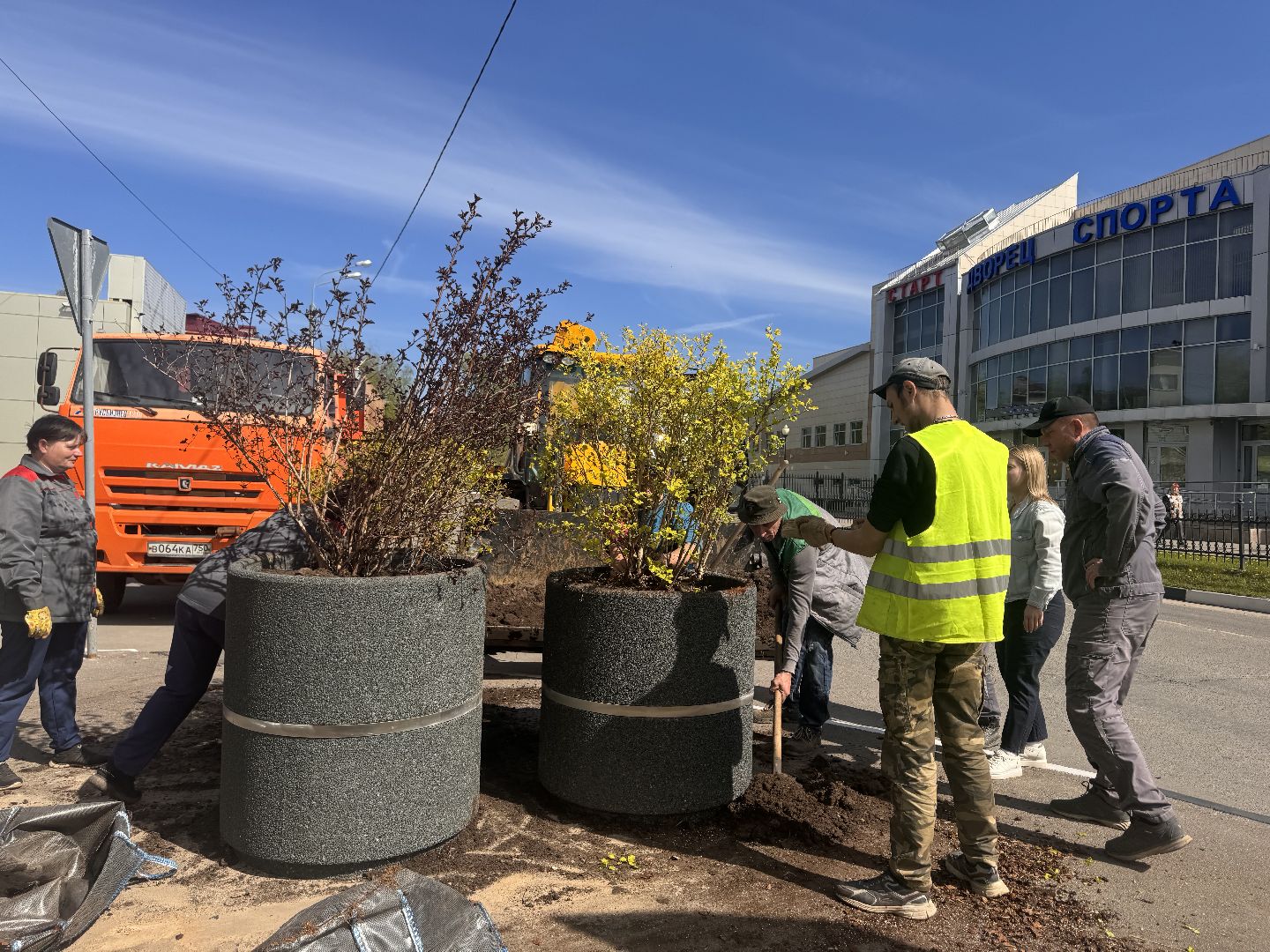 шаховская, посадка деревьев, благоуйстройство,