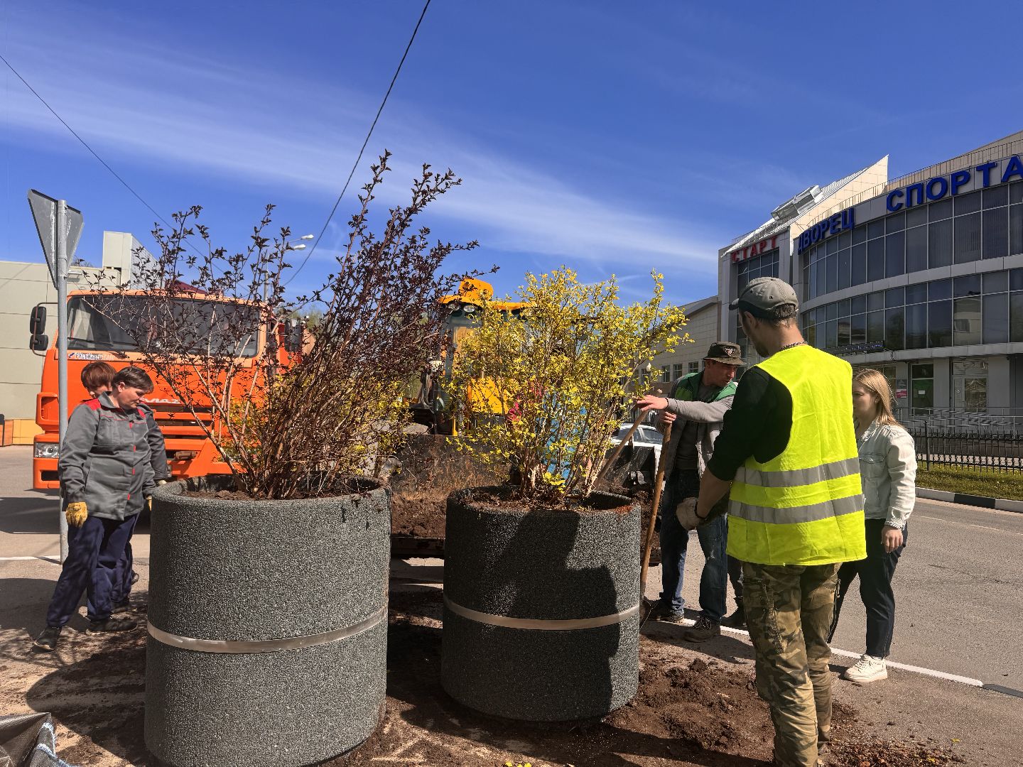 шаховская, посадка деревьев, благоуйстройство,