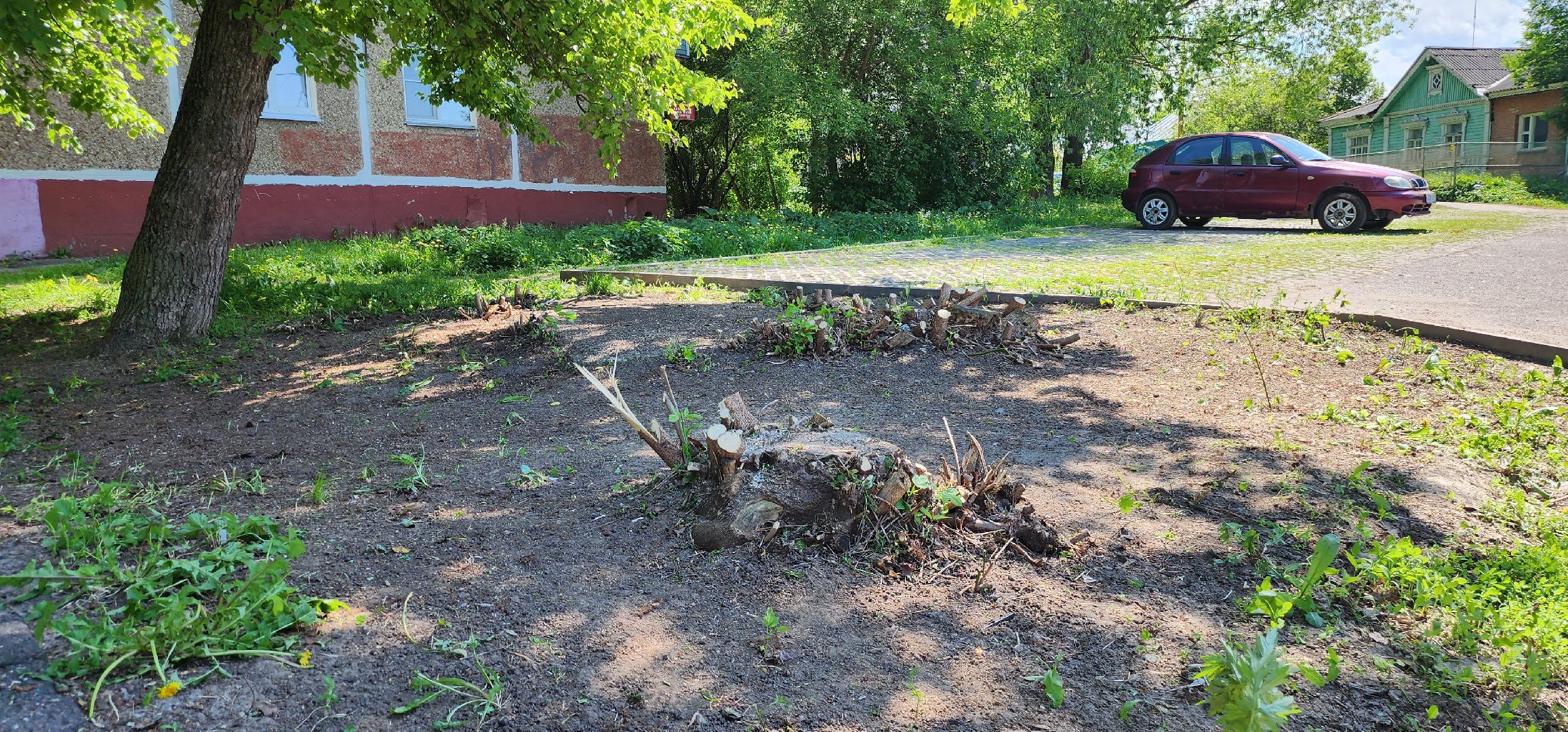 Коломна, благоуйстройство, обрезка деревьев,