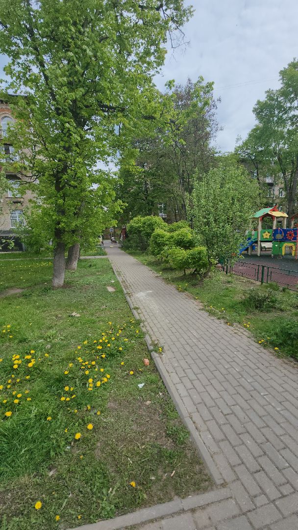 пешие обходы, заместители глав, Алла Дунаевич, ул Пушкина, содержание, ремонт, дворовые территории,