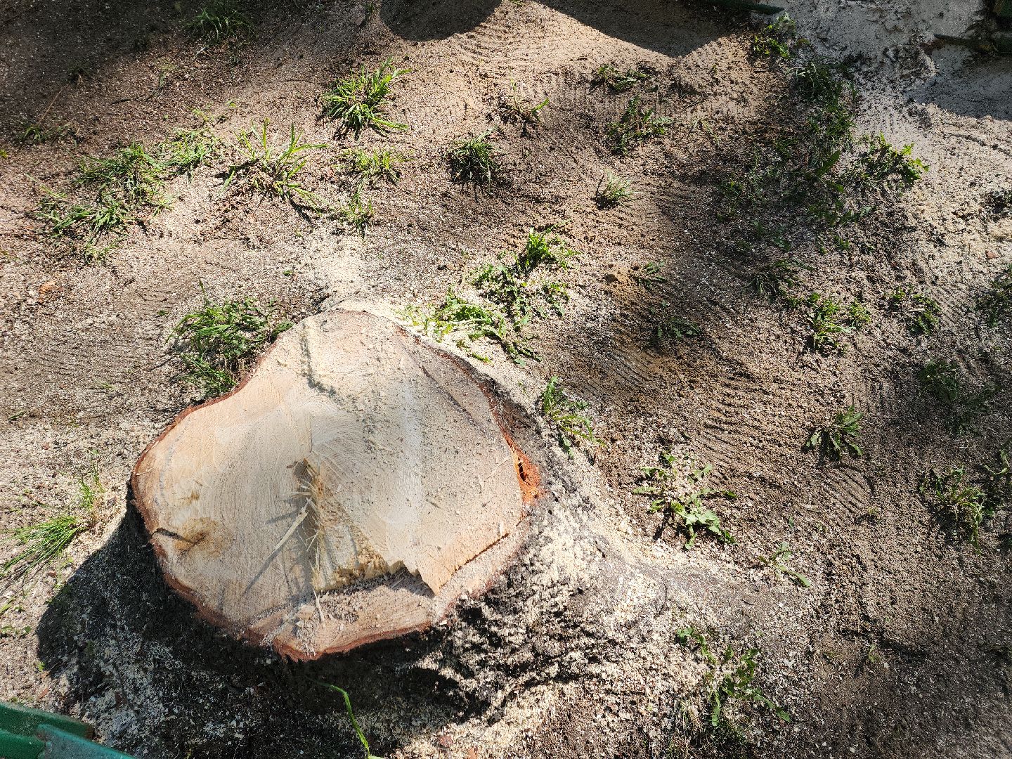 пушкино, благоустройство дворов, сезон благоустройства, комунальная техника, коммунальная служба,