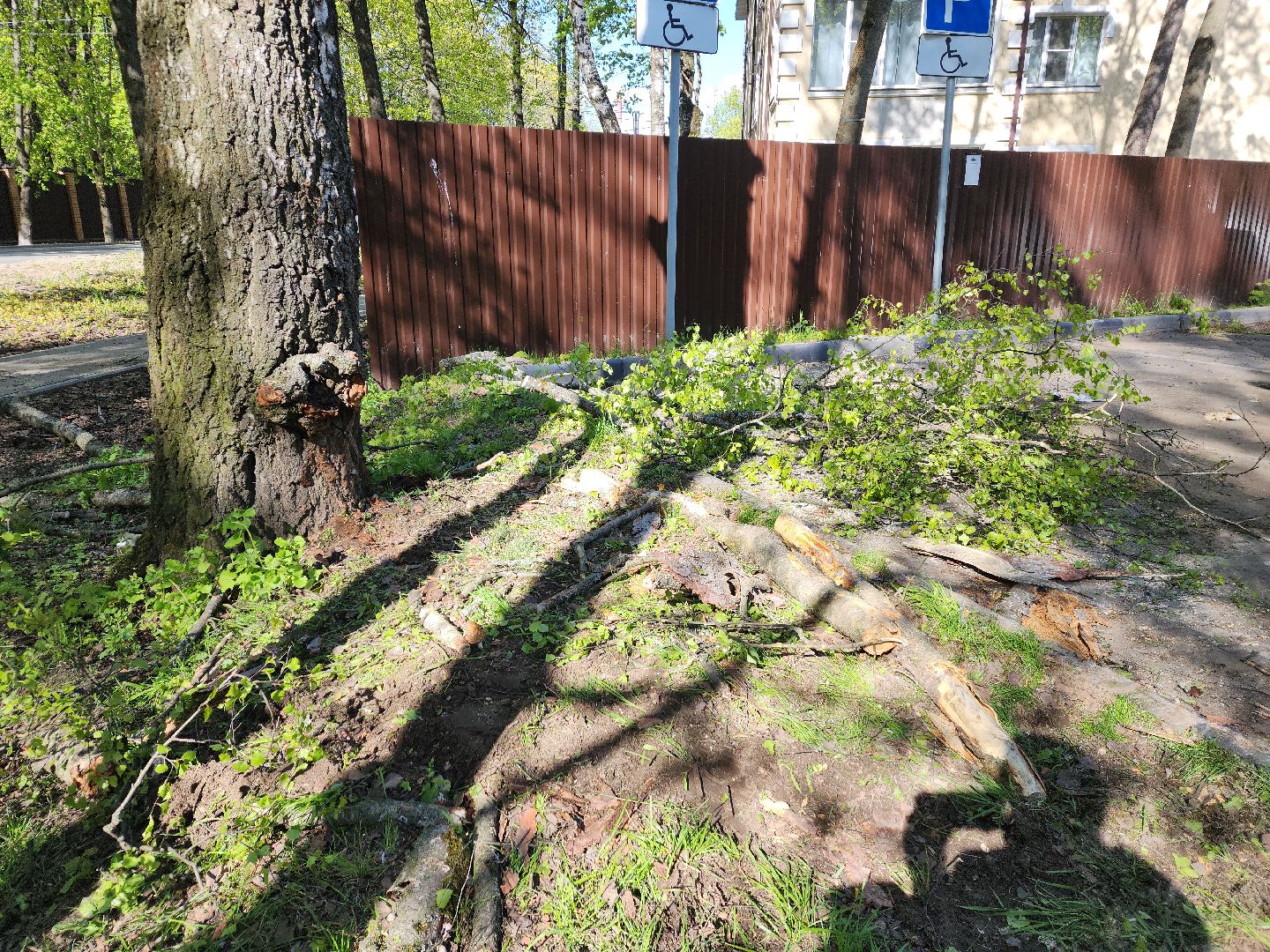 пушкино, благоустройство дворов, сезон благоустройства, комунальная техника, коммунальная служба,