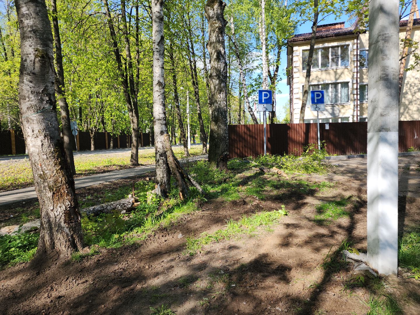 пушкино, благоустройство дворов, сезон благоустройства, комунальная техника, коммунальная служба,