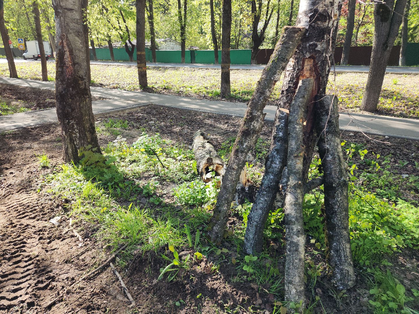 пушкино, благоустройство дворов, сезон благоустройства, комунальная техника, коммунальная служба,