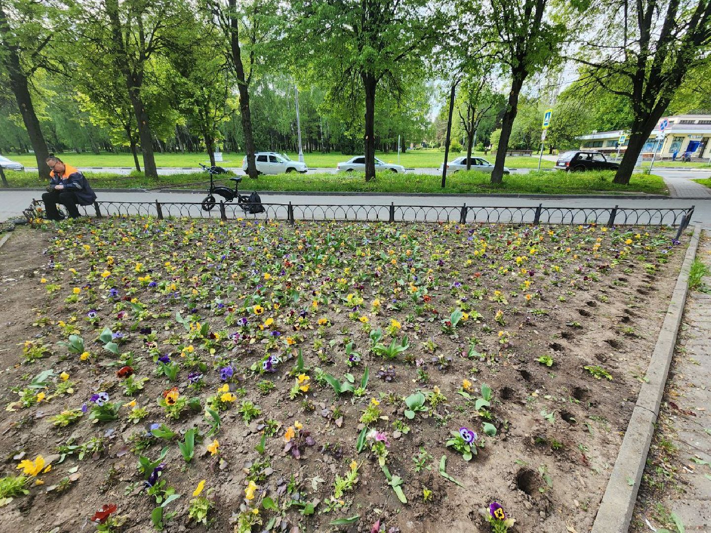 пущино, серпухов, цветы, благоуйстройство,