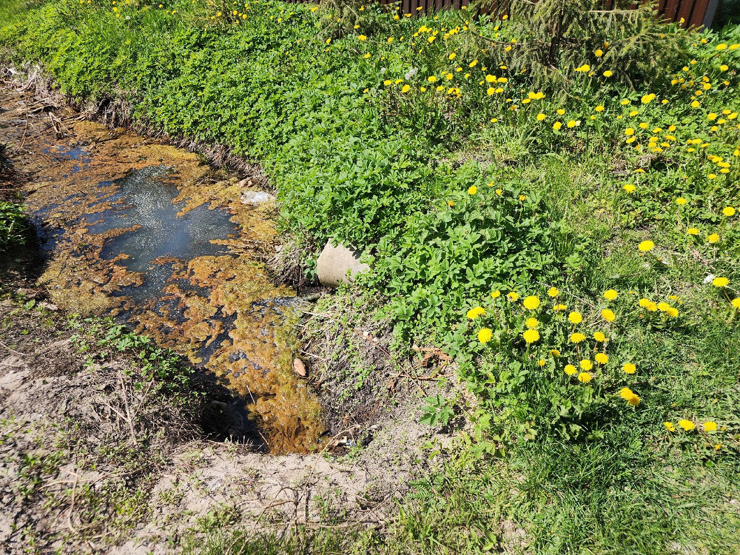 выездная администрация, орехово-зуевский округ,