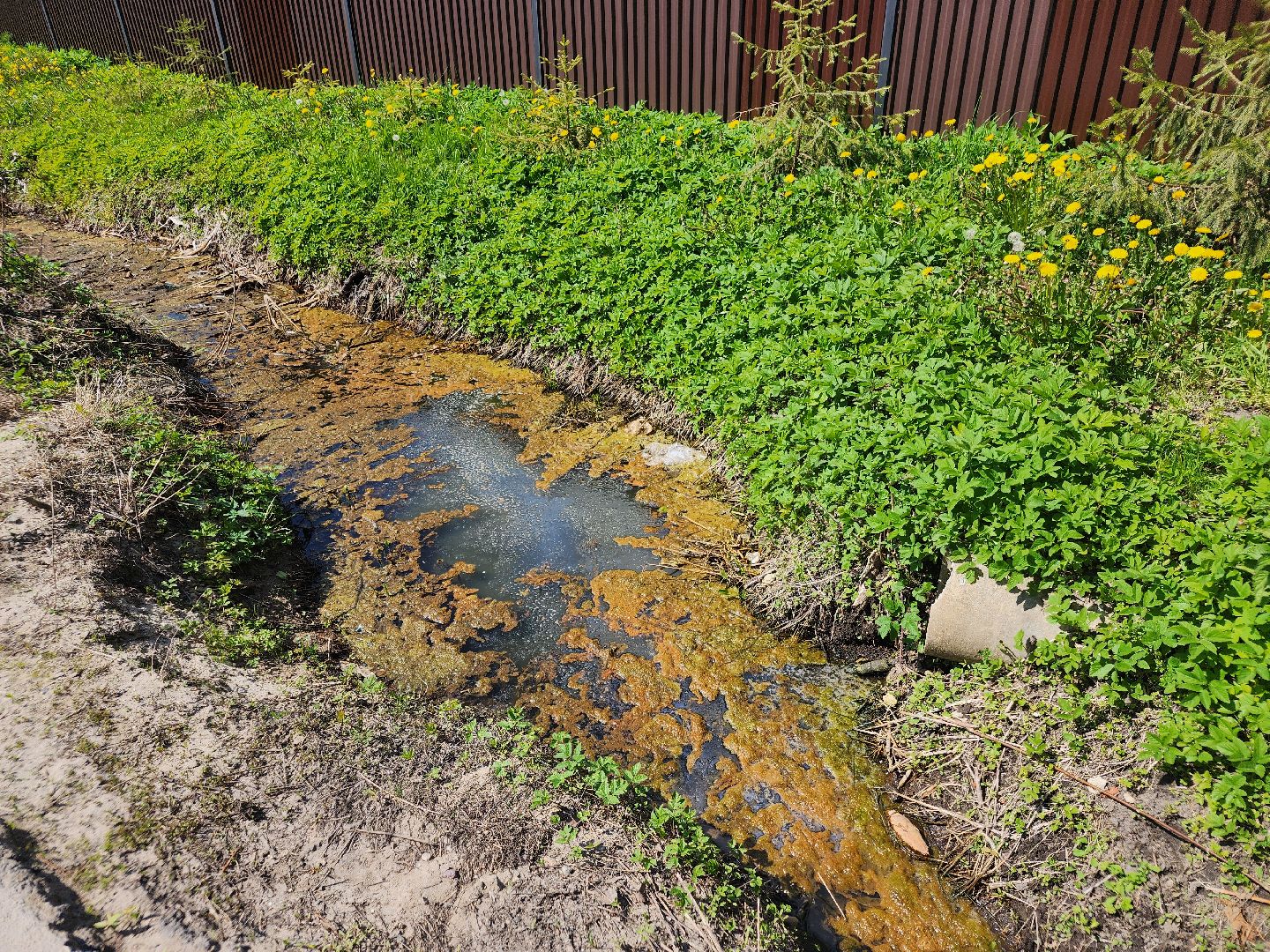 выездная администрация, орехово-зуевский округ,