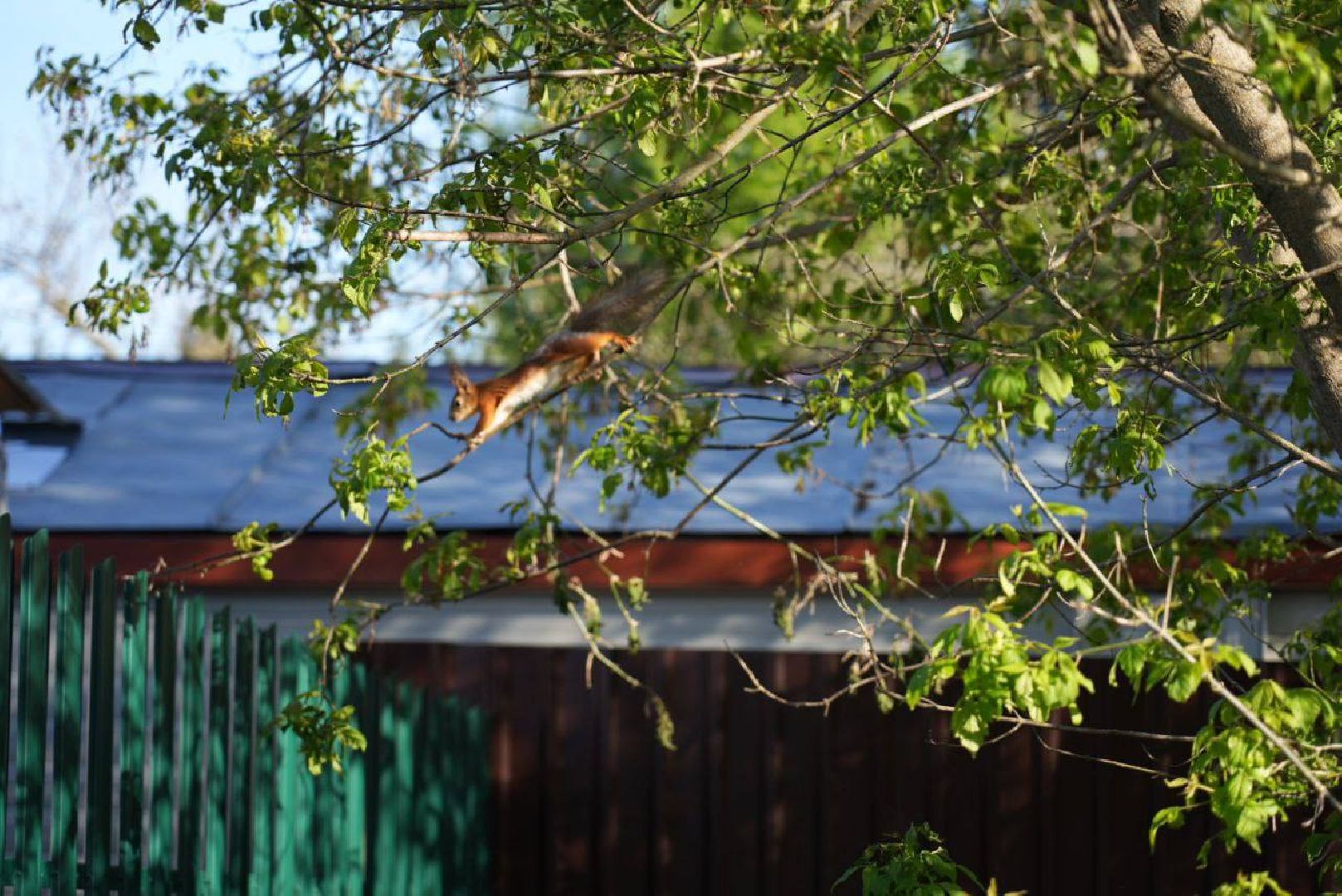 сергиев посад, дороги, строительство,