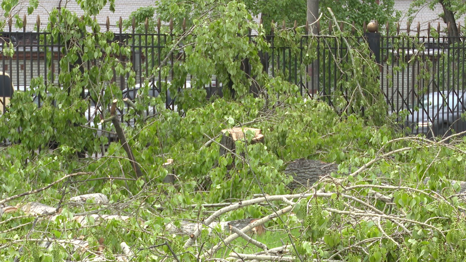 Реутов, старт, приалит, строительство, масштабная реконструкция, опиловка, деревья, академия Акинфеева,