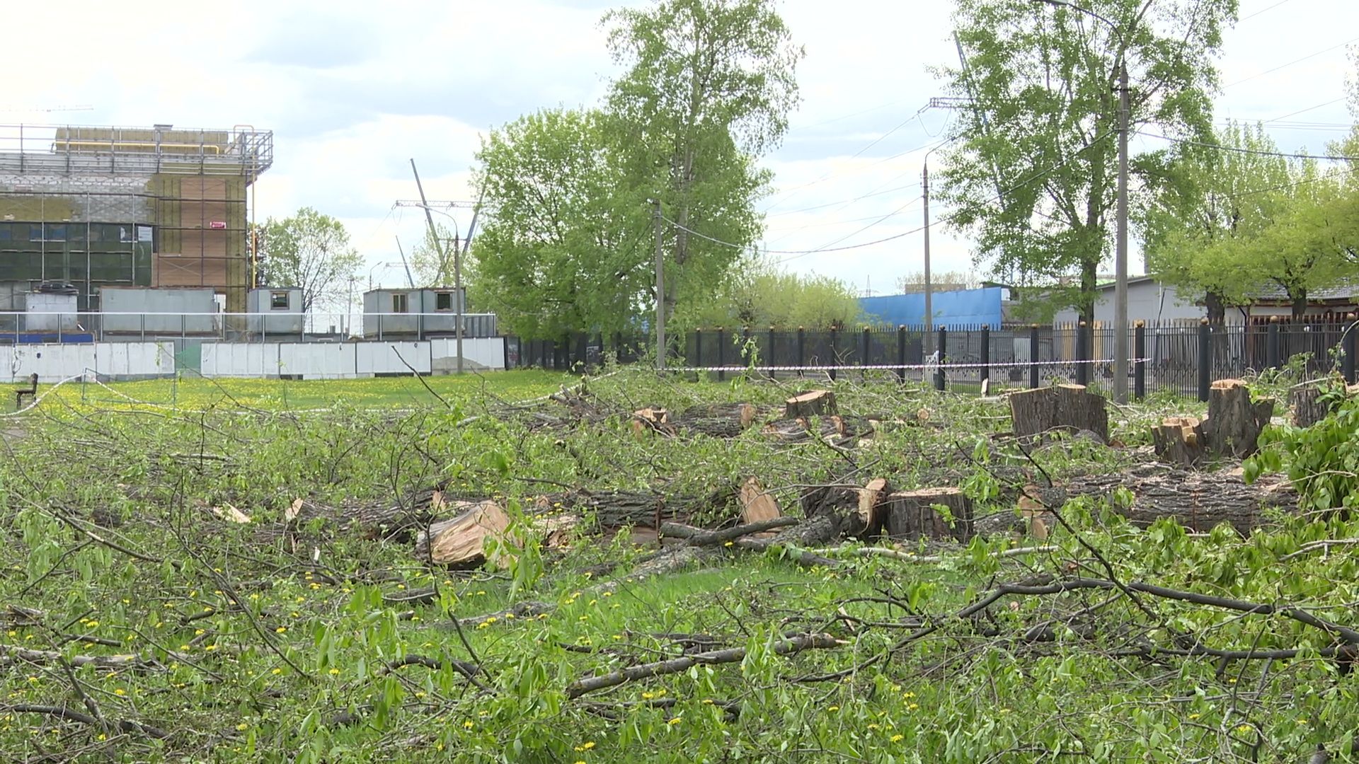 Реутов, старт, приалит, строительство, масштабная реконструкция, опиловка, деревья, академия Акинфеева,