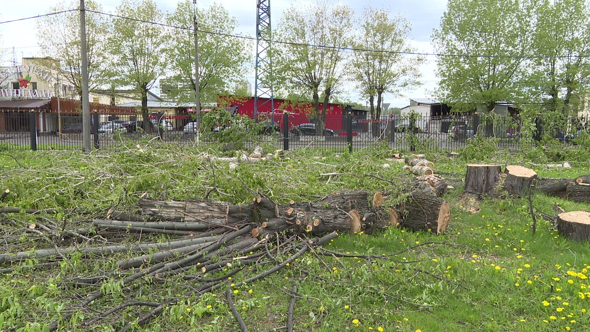 Реутов, старт, приалит, строительство, масштабная реконструкция, опиловка, деревья, академия Акинфеева,
