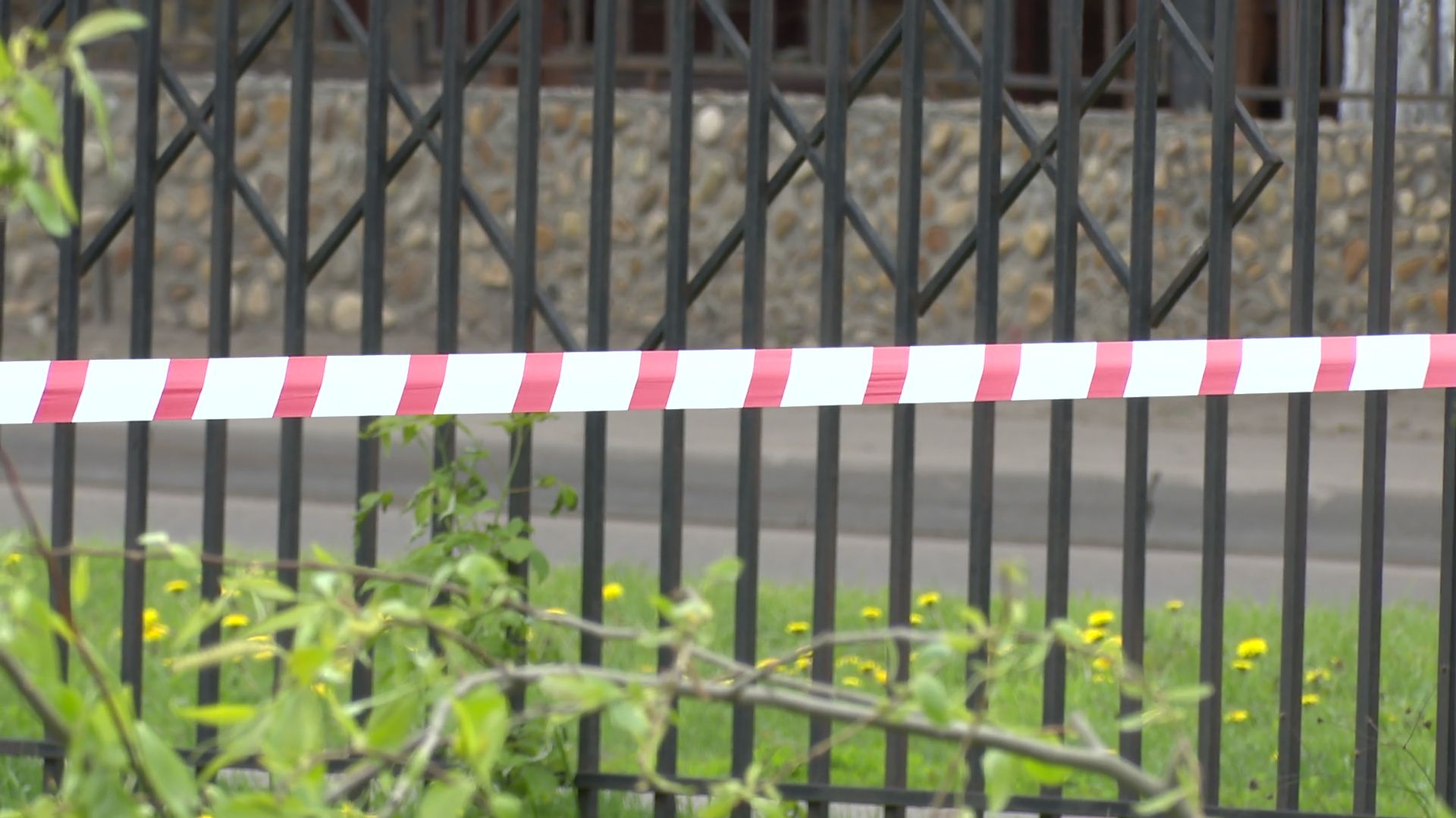 Реутов, старт, приалит, строительство, масштабная реконструкция, опиловка, деревья, академия Акинфеева,