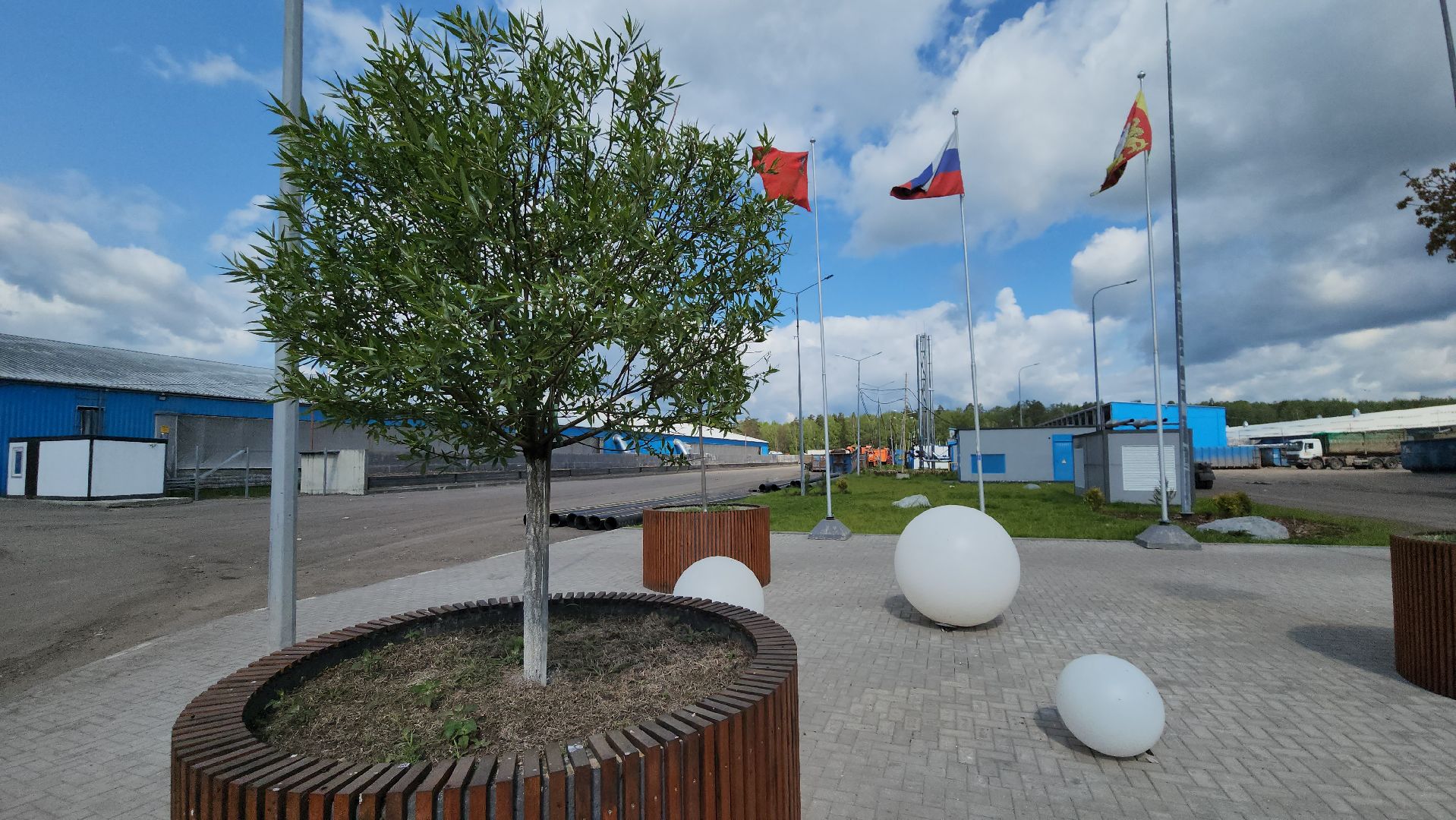 кпо, восток, техногрунт, удобрение, мусор, отходы, тюльпаны, цветы,