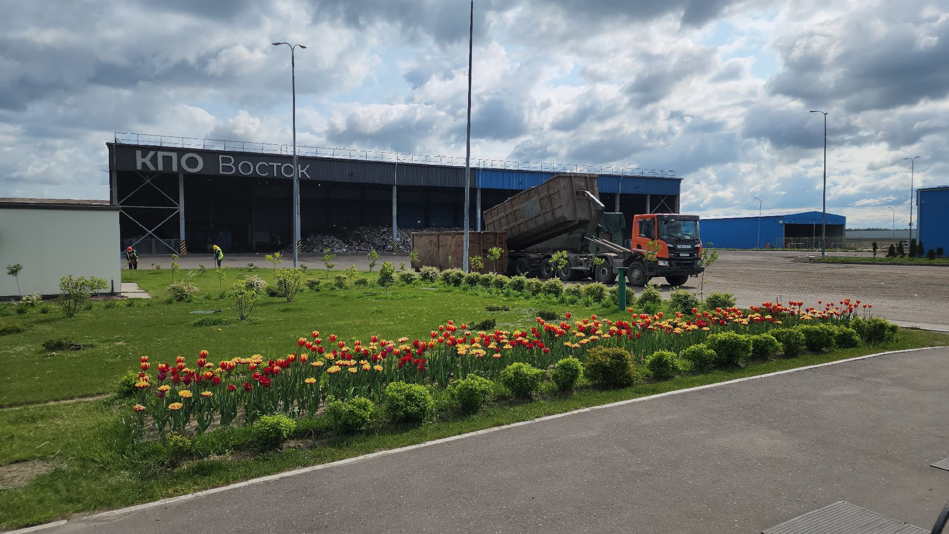 кпо, восток, техногрунт, удобрение, мусор, отходы, тюльпаны, цветы,