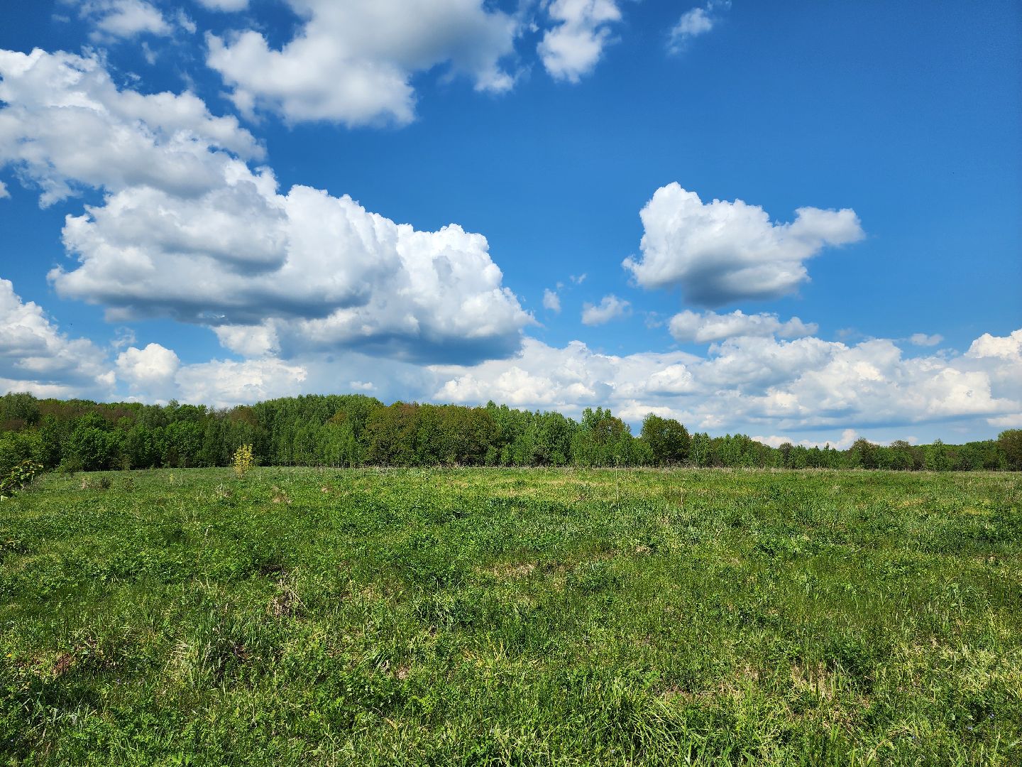серпухов, подмосковье, археологи, зиброво, Древняя Русь, археология,