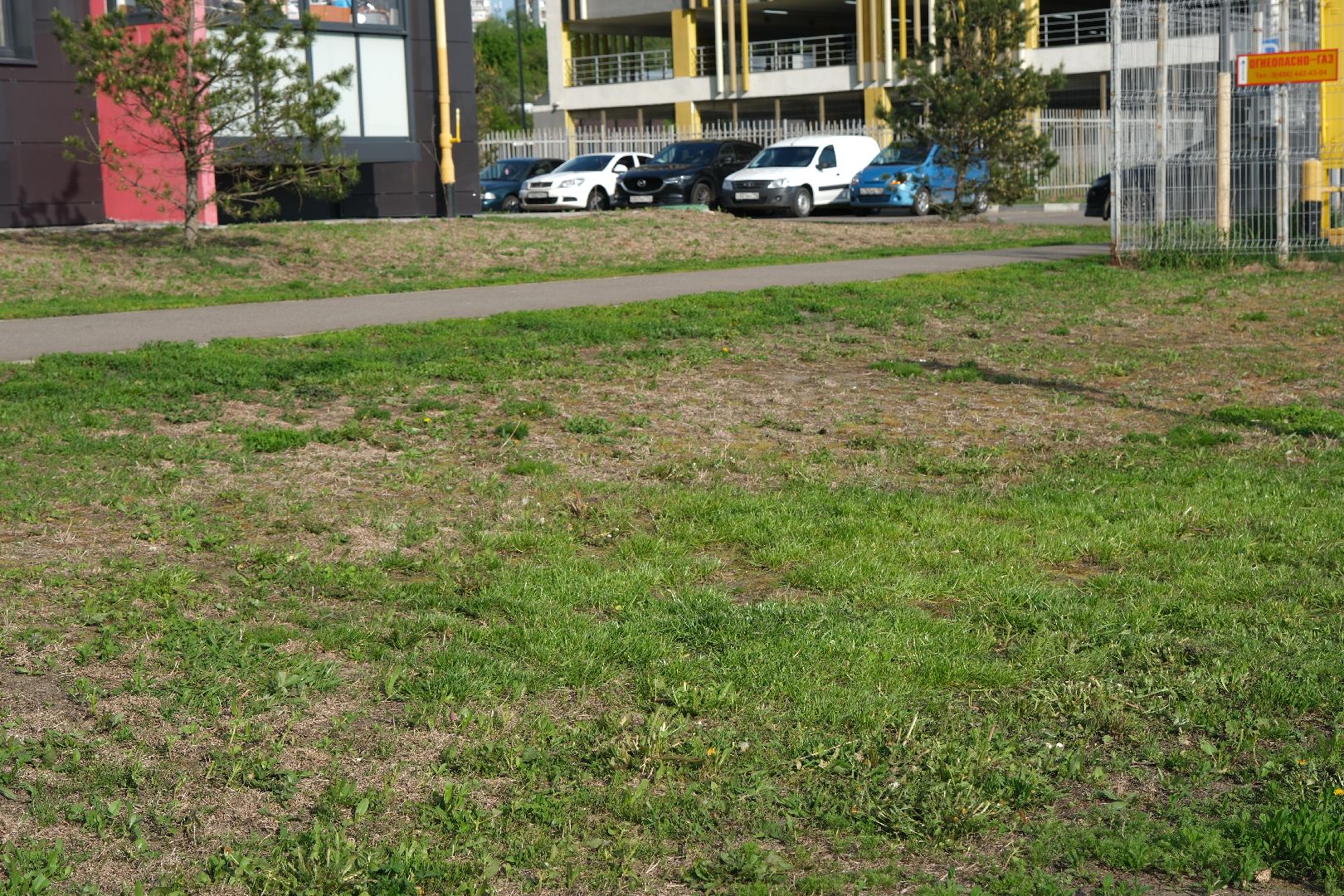 лыткарино, общество, выездная администрация,