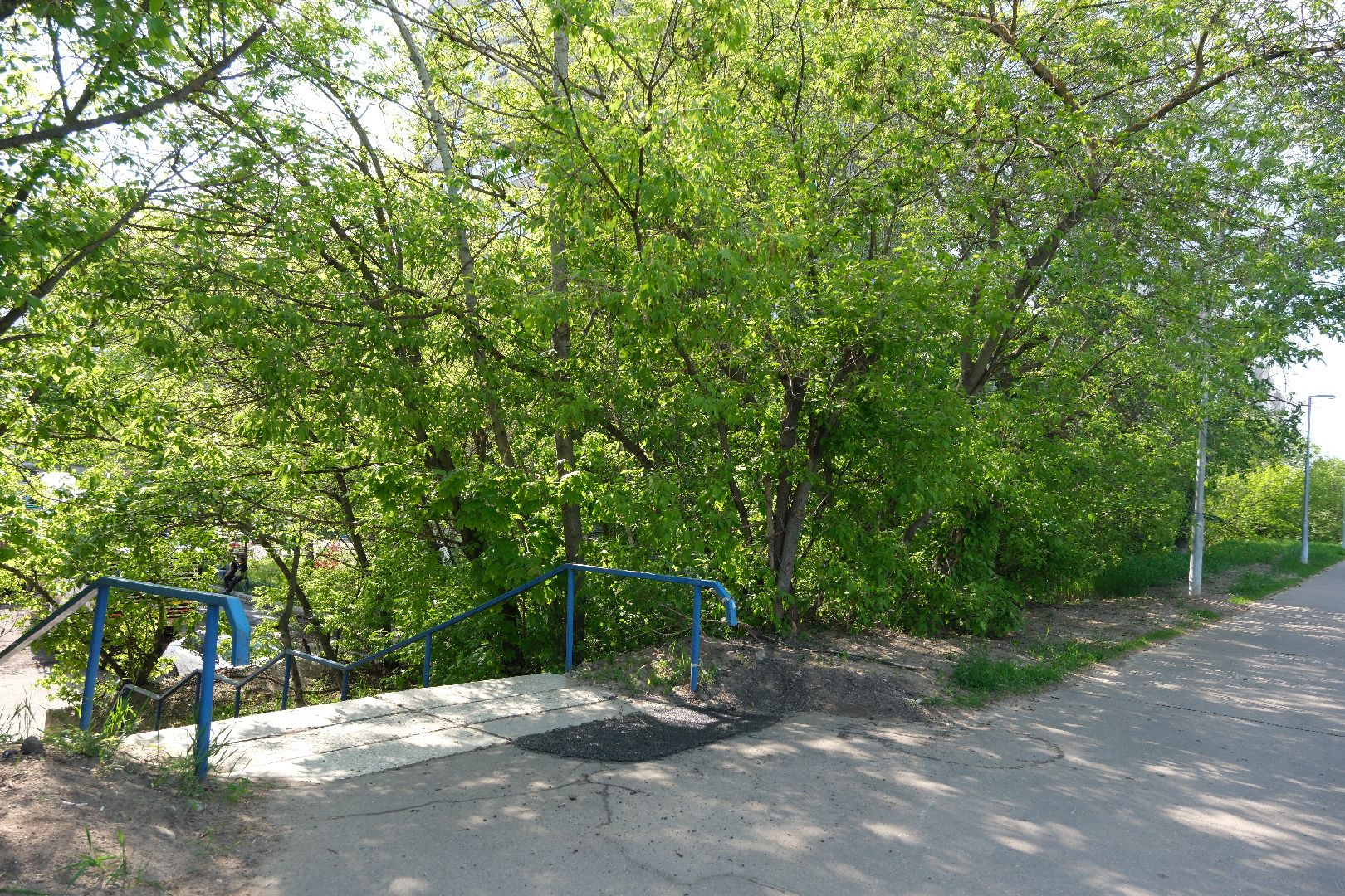 лыткарино, общество, выездная администрация,