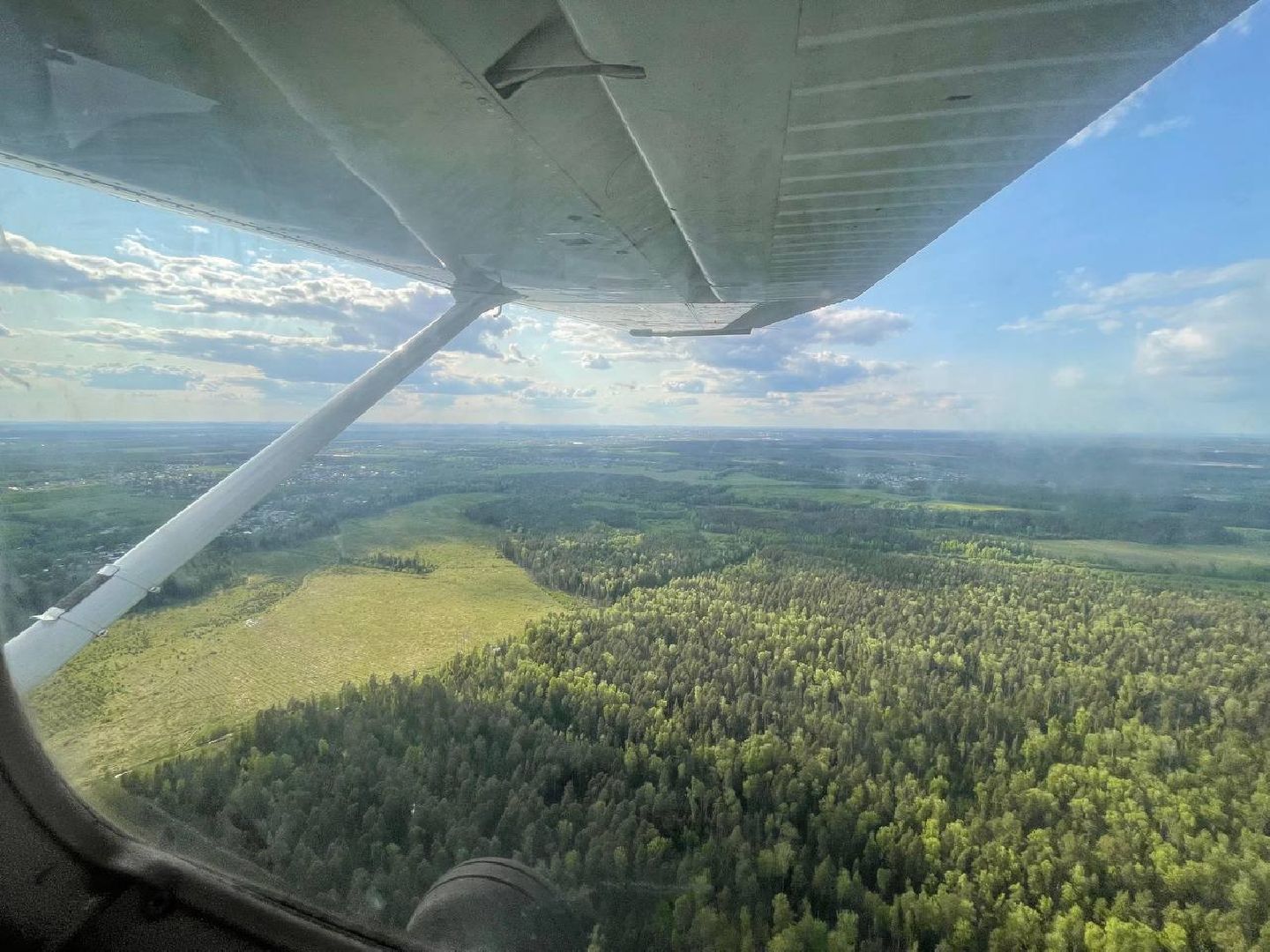 лес, надзор, лесоохрана,