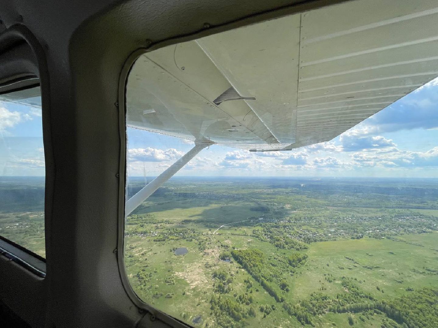 лес, надзор, лесоохрана,