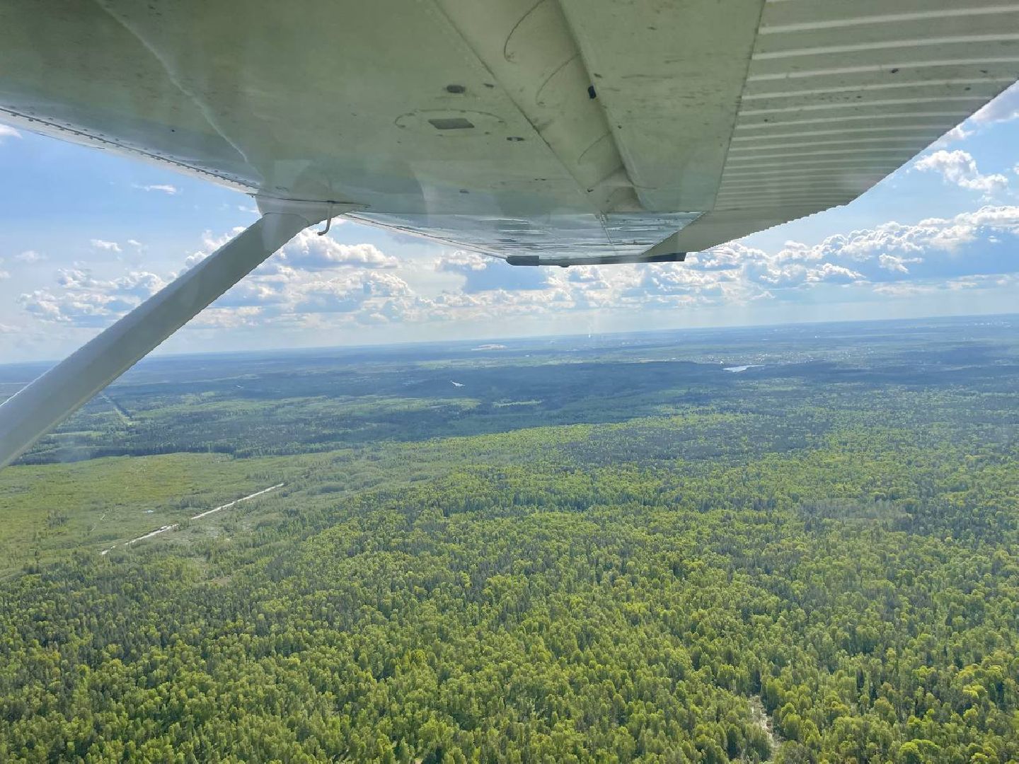 лес, надзор, лесоохрана,