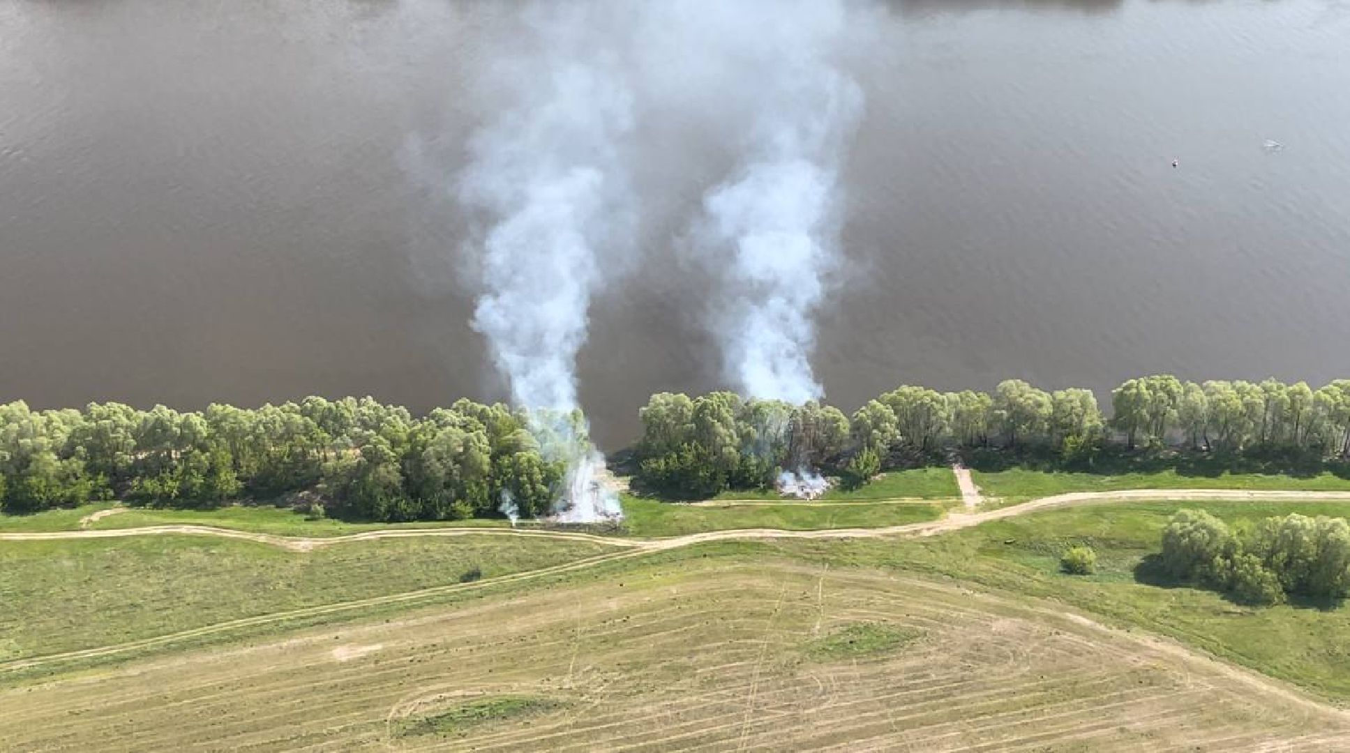 лес, надзор, лесоохрана,