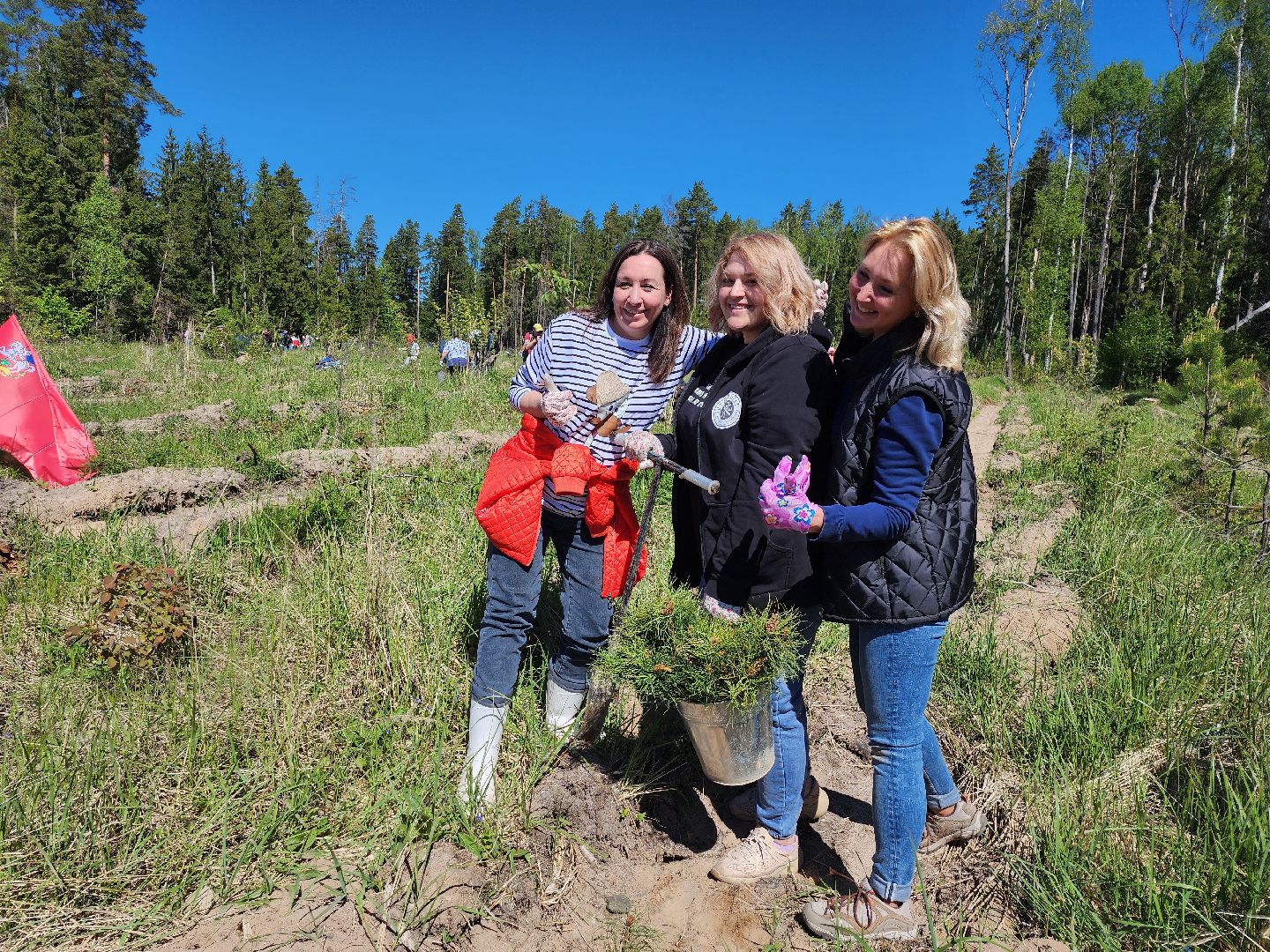 серпухов, подмосковье, лес будущего, лесничие серпухова,