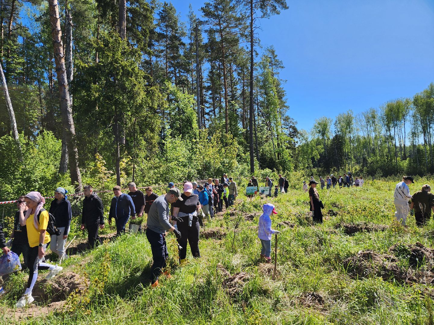 серпухов, подмосковье, лес будущего, лесничие серпухова,