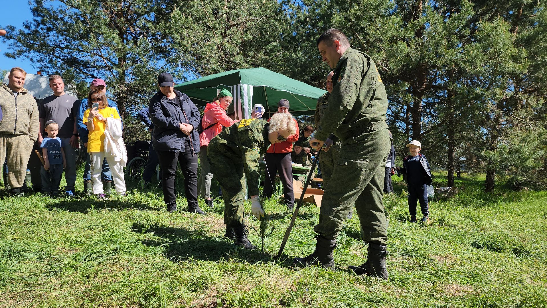 серпухов, подмосковье, лес будущего, лесничие серпухова,