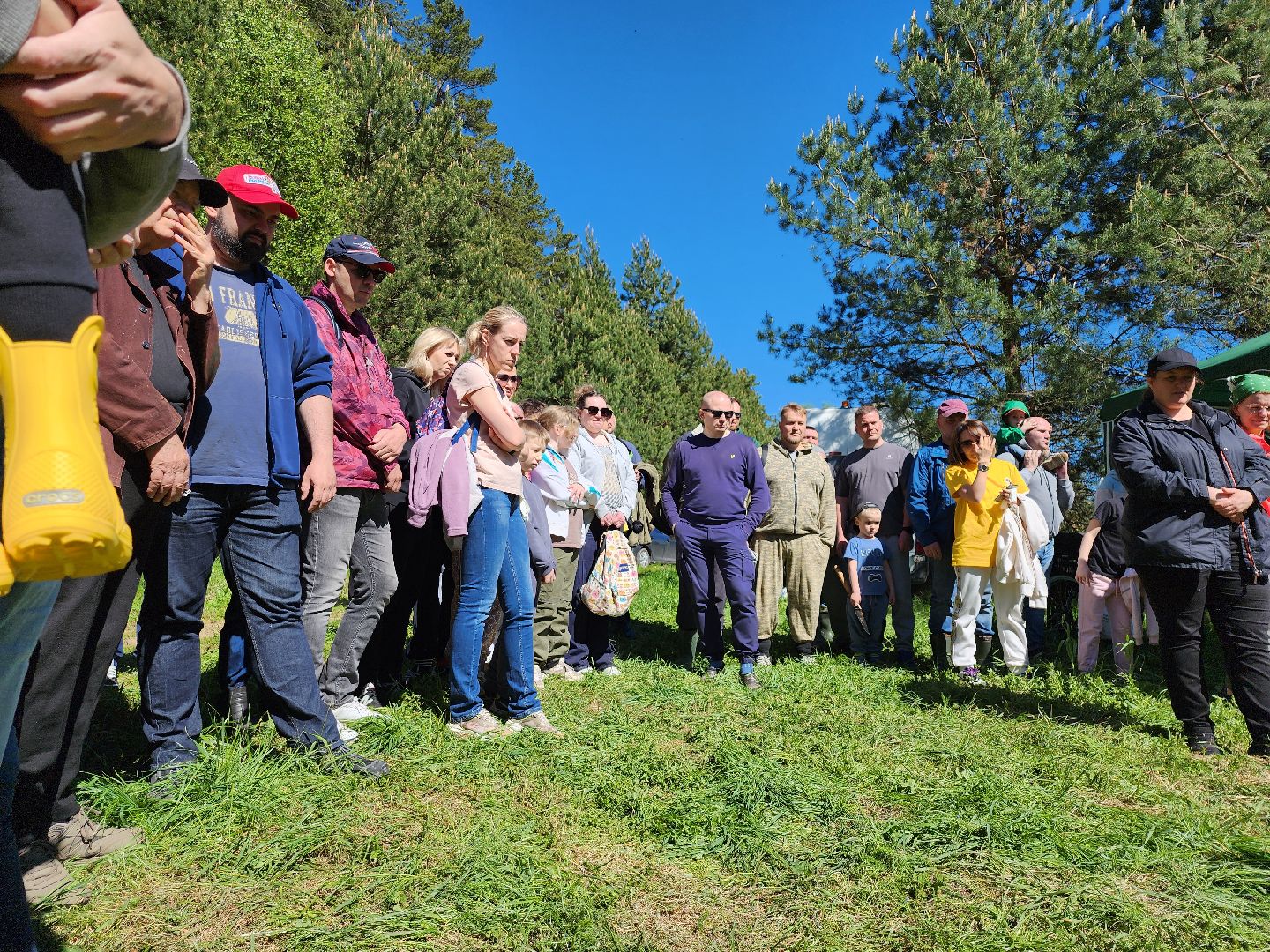 серпухов, подмосковье, лес будущего, лесничие серпухова,