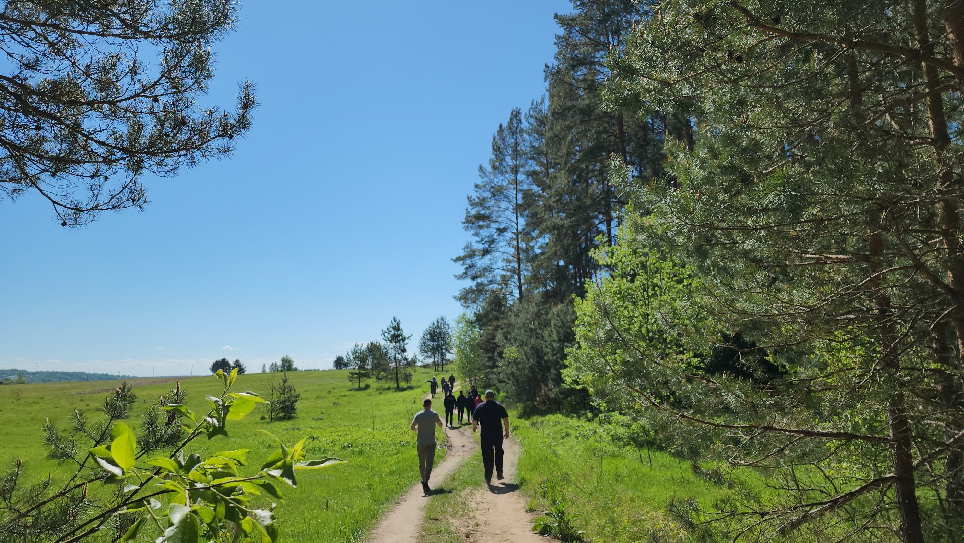 серпухов, подмосковье, лес будущего, лесничие серпухова,
