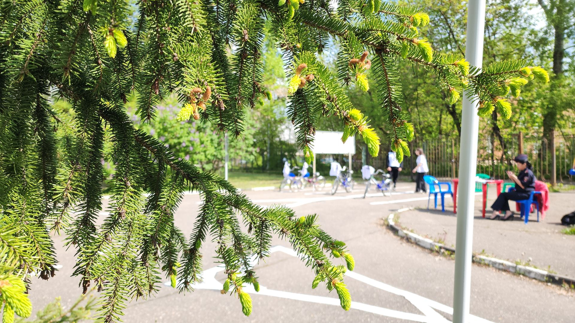 электросталь, безопасность, безопасность на дорогах, гаи, гибдд, День ЮИД, юид, юид отряд, юный инспектор движения, станция юных техников, сют,